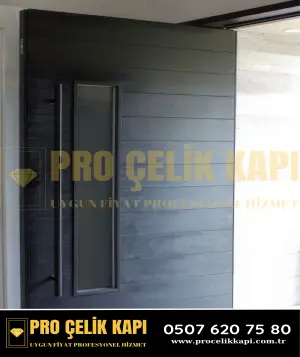 Maltepe Pivot Kapı - Model 38